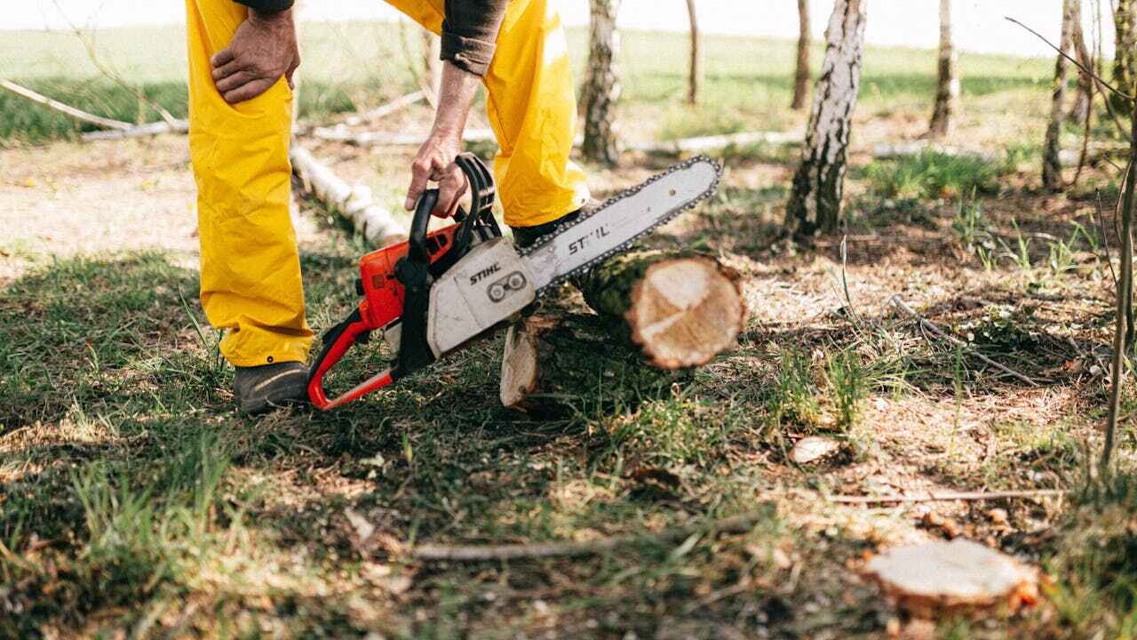  Baton Rouge, LA TreeGuard Tree Service Pros